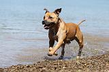 STAFFIE 053